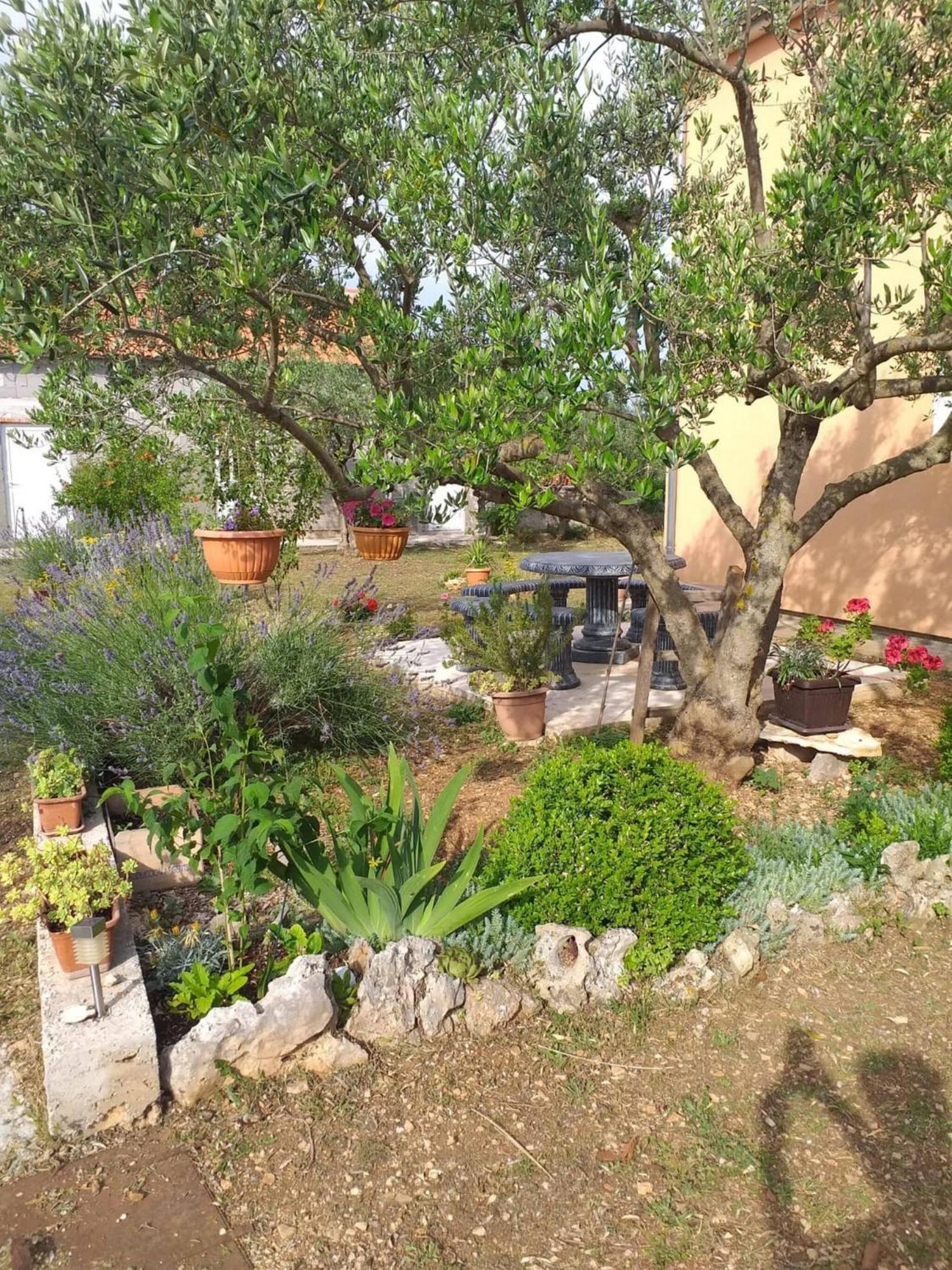 Rural Apartment Ante เดอร์นิช ภายนอก รูปภาพ